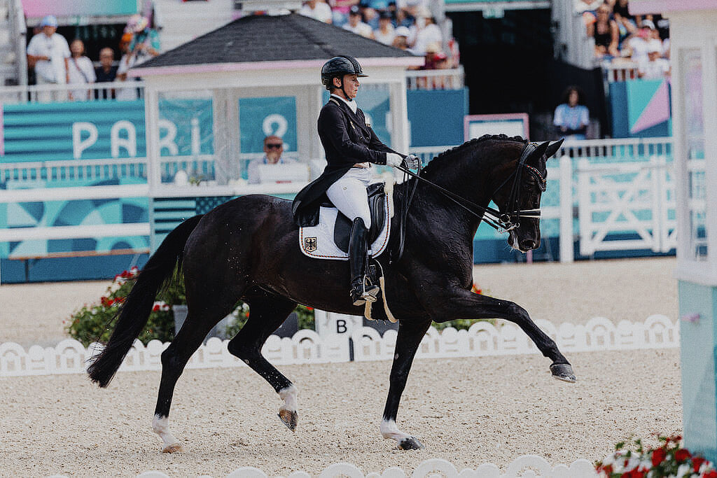 Equine Stars: Wendy De Fontaine