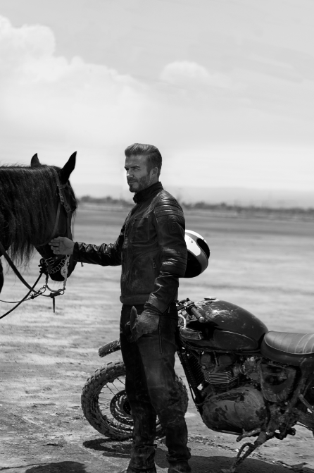 David Beckham Horse Style 